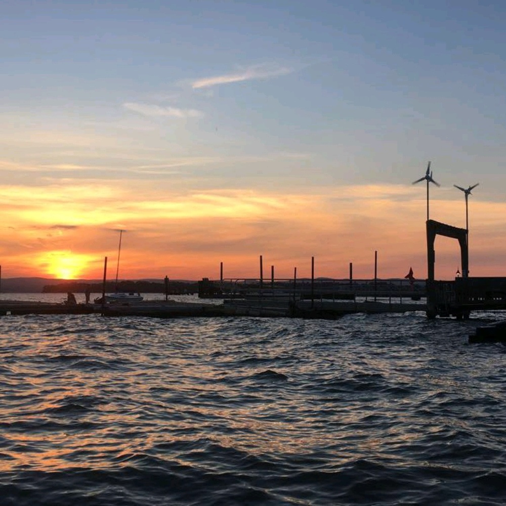 Meet your Posher, Amani